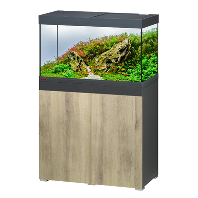 eheim-vivaline-led-144-l-anthracite-wood-aquarium-equipe-80-x-40-x-45-cm-avec-meuble-et-eclairage-leds
