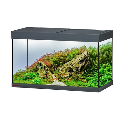 eheim-vivaline-led-144-l-anthracite-aquarium-equipe-80-x-40-x-45-cm-avec-eclairage-leds