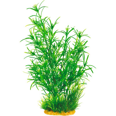 zolux-plant-large-1-plante-artificielle-35-cm-pour-aquarium