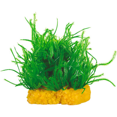 zolux-plant-small-4-plante-artificielle-10-cm-pour-aquarium