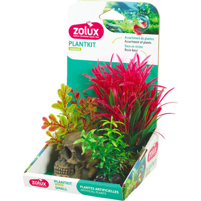 zolux-plantkit-decor-s-tete-de-mort-kit-de-decoration-avec-plantes-artificielles