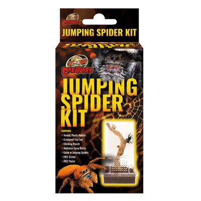zoomed-jumping-spider-kit-habitat-ventile-pour-arraignees