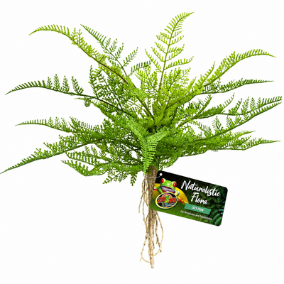 zoomed-naturalistic-flora-lace-fern-plante-artificielle-decorative-pour-terrarium