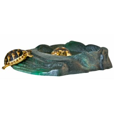 ZOOMED Repti Ramp Bowl Large abreuvoir avec plage d'accès à l'eau spéciale tortue et autres petits reptiles rampants