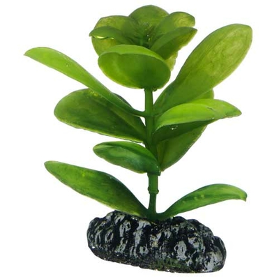 HOBBY Saururus 7 cm plante artificielle pour aquarium