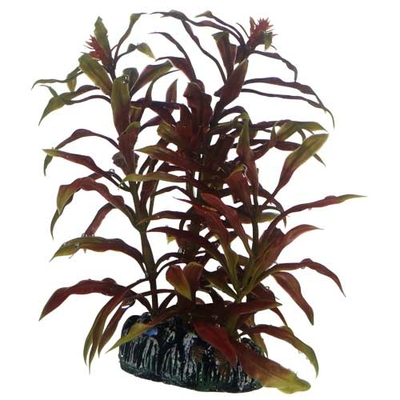 HOBBY Nesaea 13 cm plante artificielle pour aquarium