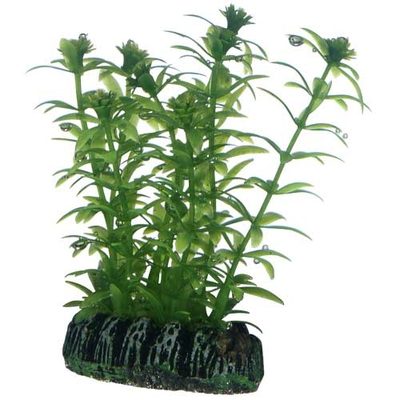 HOBBY Lagarosiphon 7 cm plante artificielle pour aquarium