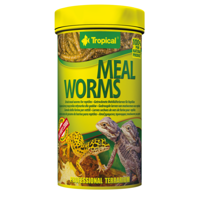 TROPICAL Meal Worms 250ml larves sechées de vers de farine pour reptiles