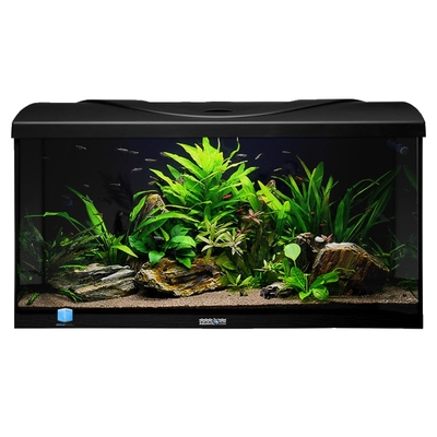 AQUAVIE StartUp 80 LED Noir aquarium de 112L tout équipé, 80 x 35 x 40 cm. Finition Haute gamme !