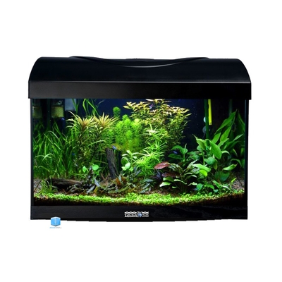 AQUAVIE StartUp 40B Noir aquarium 25L avec vitre avant bombé, tout équipé, 40 x 25 x 25 cm. Finition Haute gamme !
