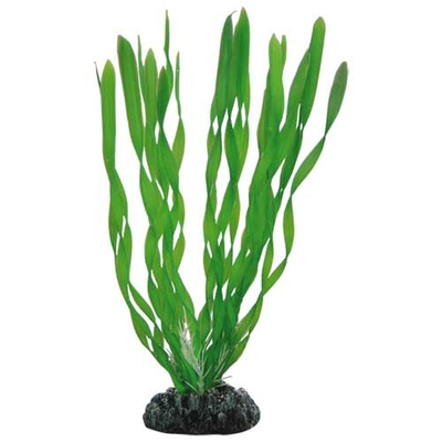 HOBBY Vallisneria 20 cm plante artificielle pour aquarium