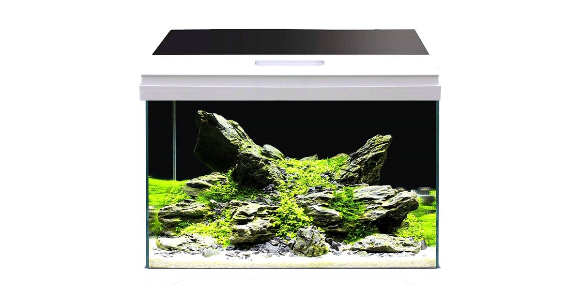 AMTRA Modern Tank 50 LED aquarium équipé 40L dimensions 50,5 x 25,5 x ...