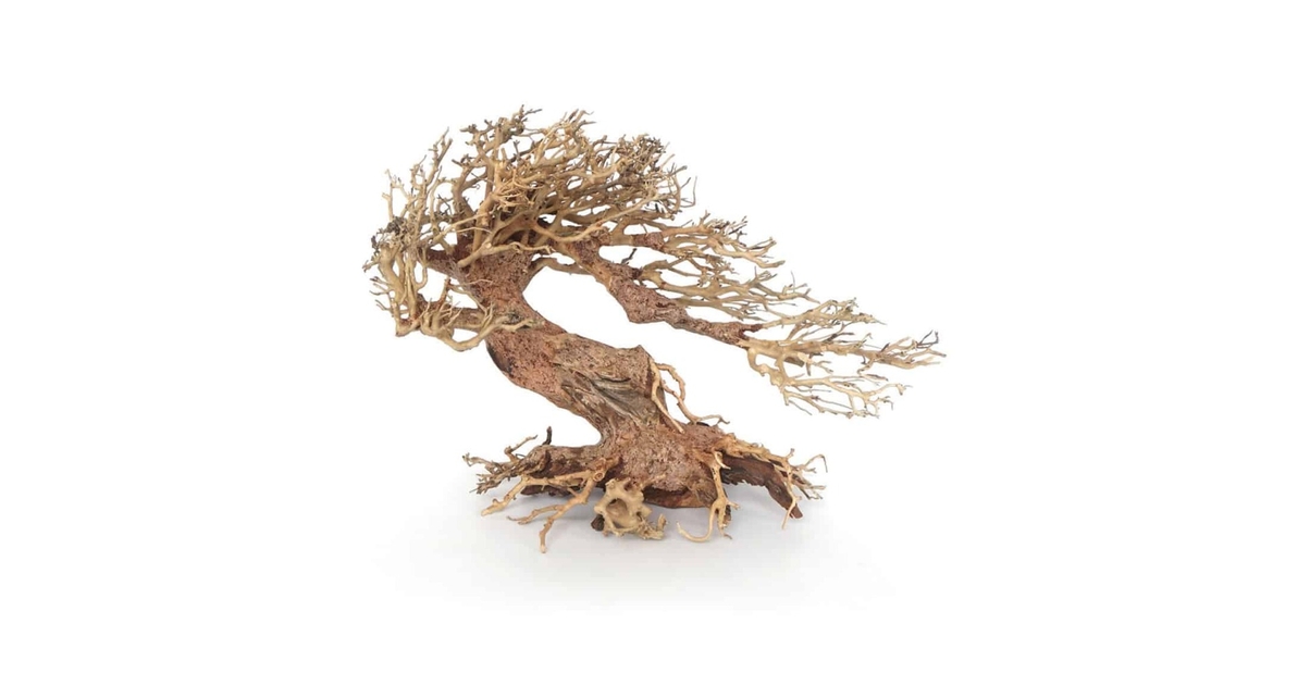 Amtra - Oriental Wind 4 hout, handgemaakt, voor aquarium, 23X10X17 CM