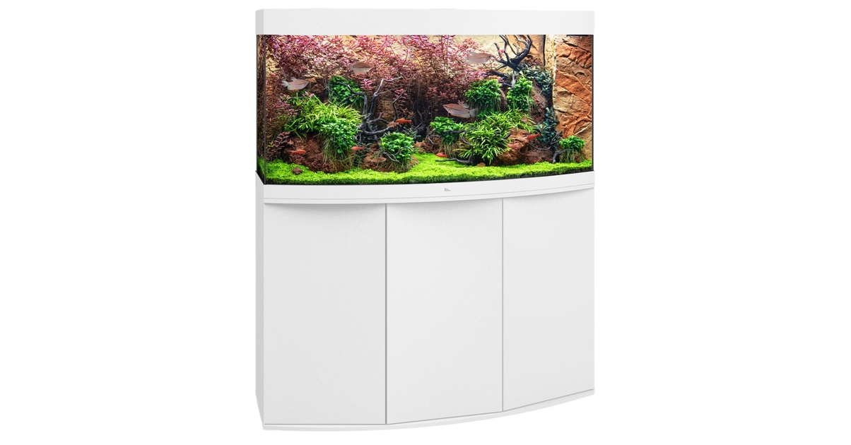Test de l'aquarium Juwel VISION 260 LED : immersion garantie
