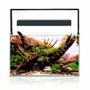 aquael-ultrascape-60-set-forest-aquarium-64l-dimensions-60-x-30-x-36-cm-avec-ou-sans-meuble