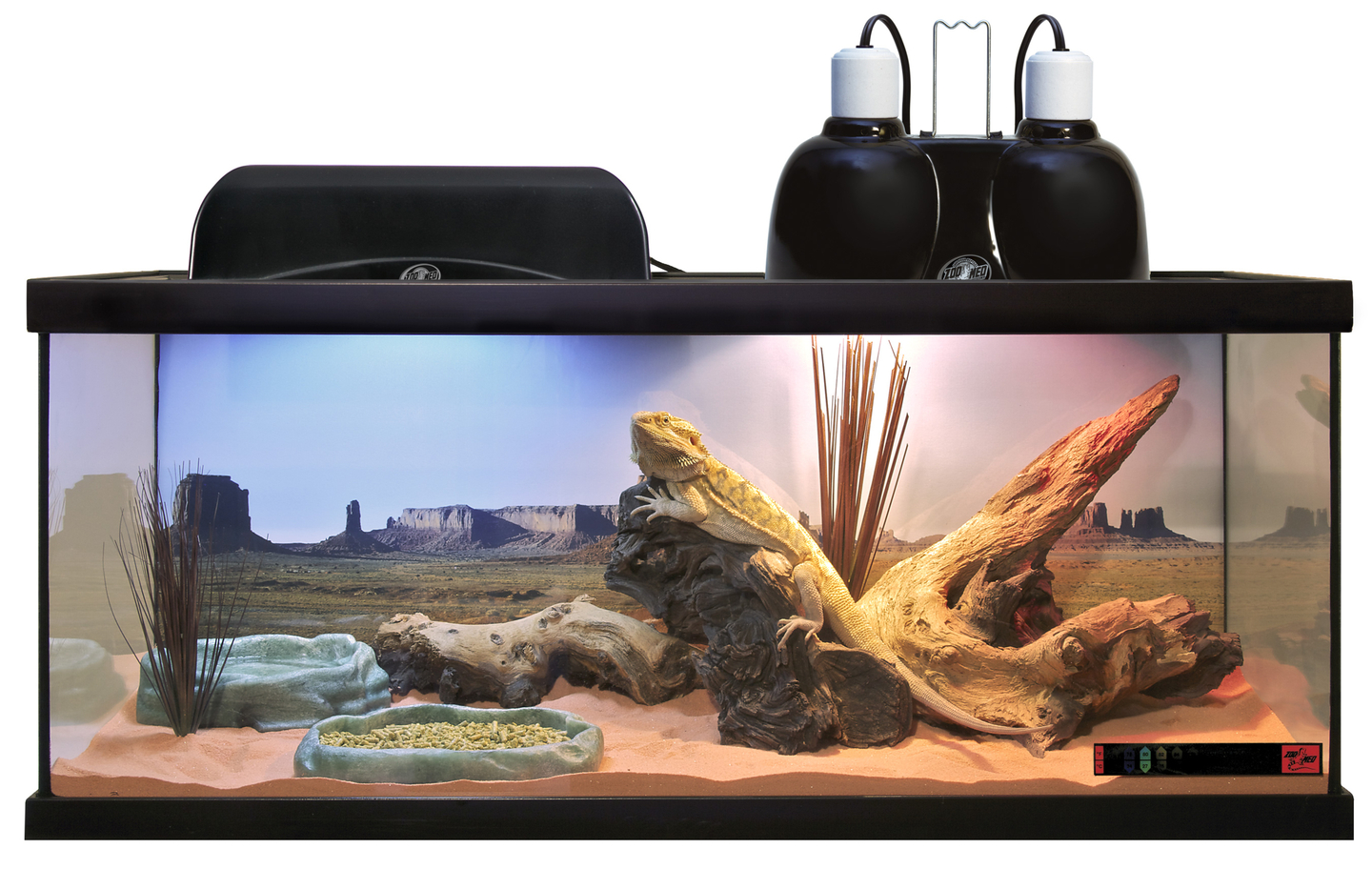 ZOOMED Kit ReptiHabitat Pogona NTB21V kit terrarium complet 76 x 30 x