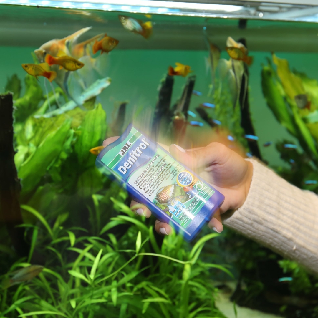 JBL Denitrol 100 ml bactéries dénitrifiantes pour un bon démarrage de votre aquarium d
