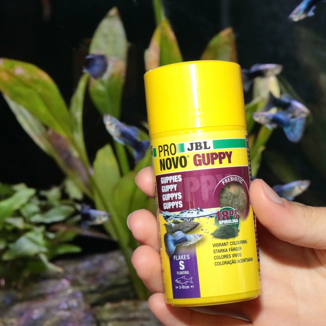 Mangime Per Pesci JBL PRONOVO GUPPY FLAKES - Alimento In Fiocchi Per Guppy E Vivipari, Con Salmone E Spirulina, 100 Ml - Foto 1