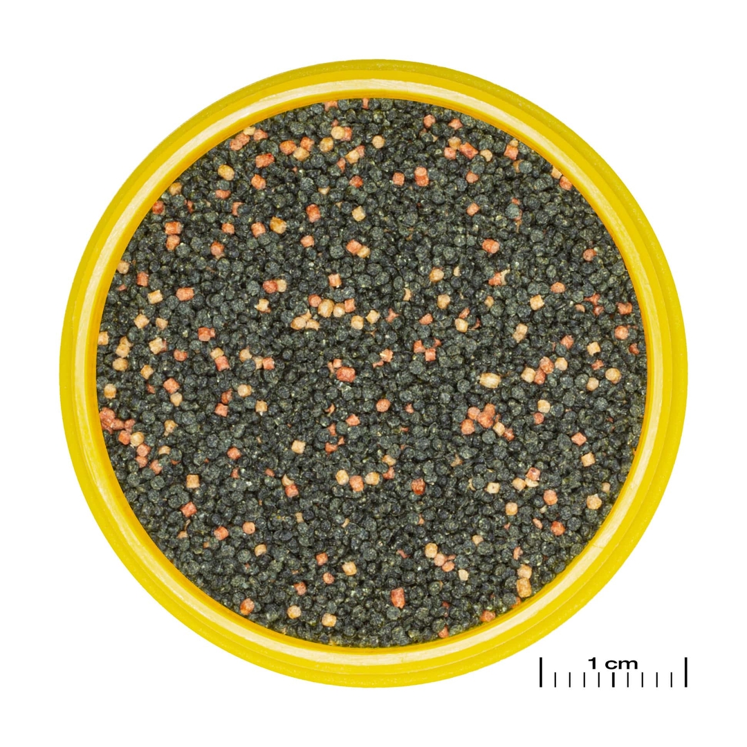 Mangime Per Pesci JBL Pronovo Guppy Flakes - Alimento In Fiocchi Per Guppy E Vivipari | 100ml - Foto 3