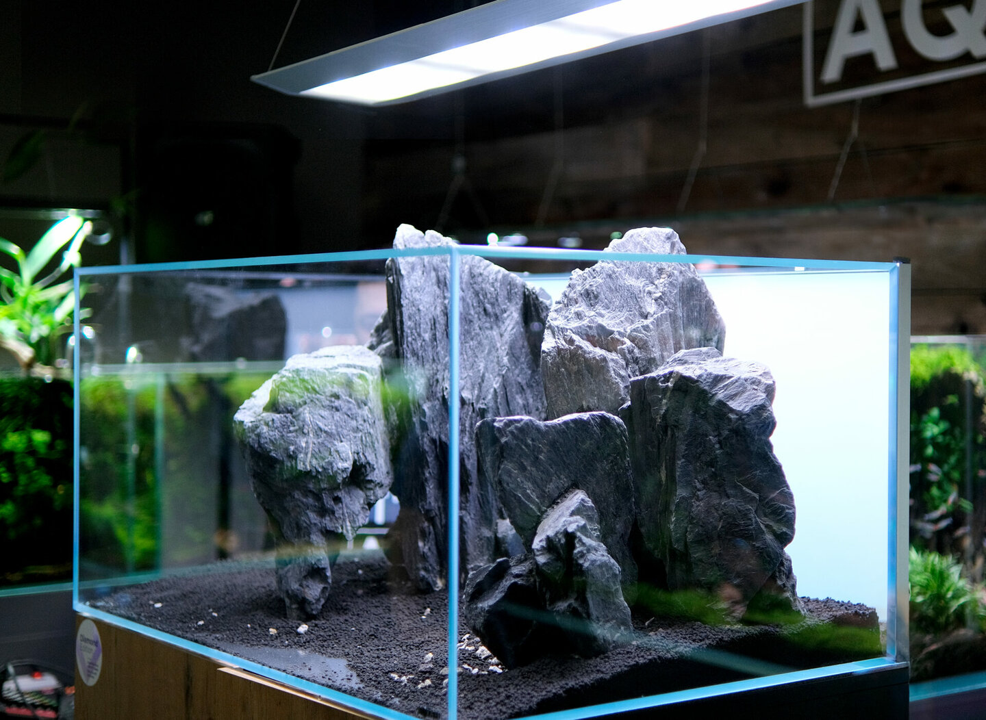 Photo inspiration: Aquael Ultrascape Set Diamond Edition 90 Aquarium 240L Dimensions 90 Photo Inspiration