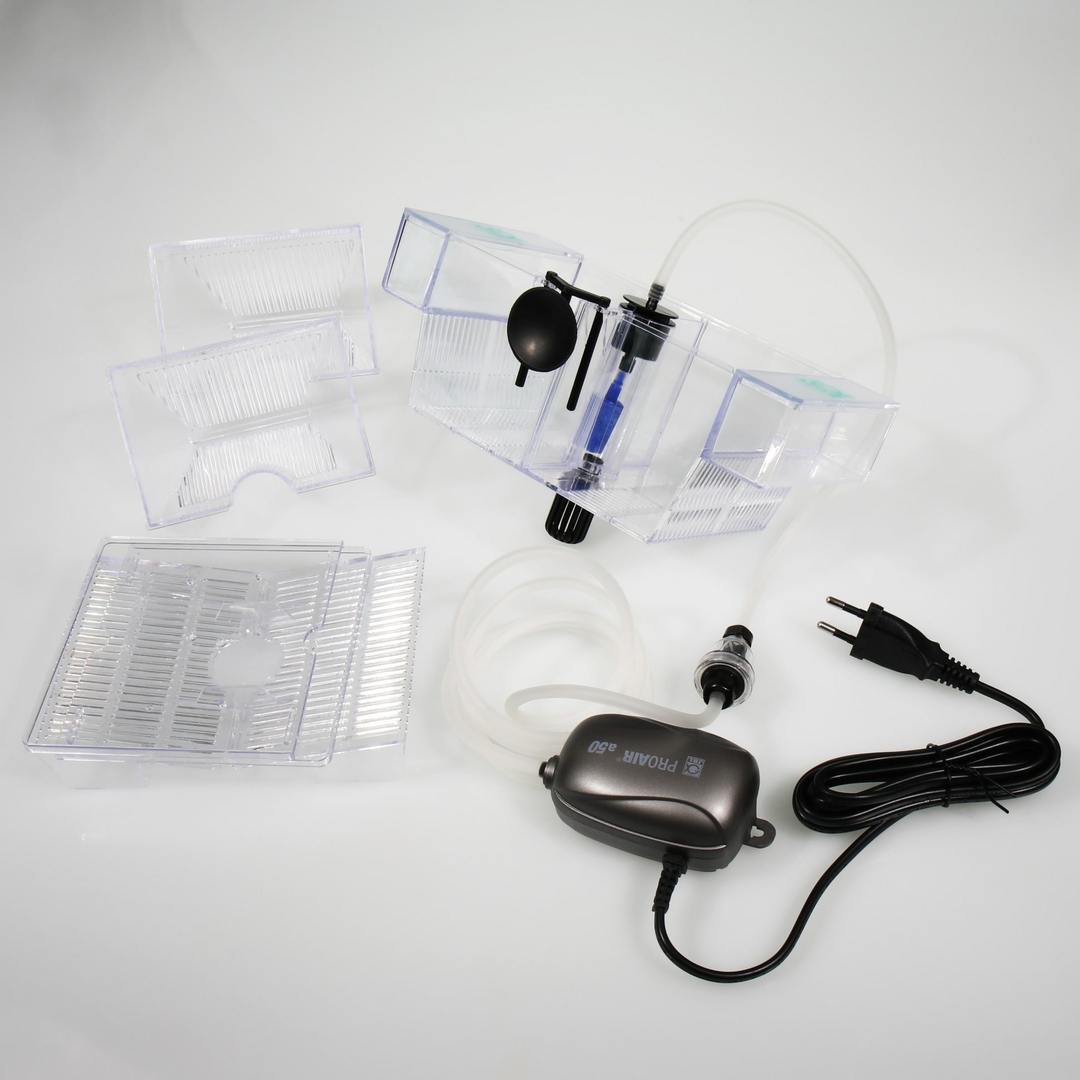 JBL BabyHome Oxygen | Kuitschietbak