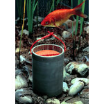 Schting%20Oxydator%20W
