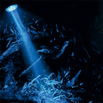spot-led-bleu-hobby-bubble-air-spot-pour-aquarium-5