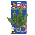 BP-23_Betta_Plants_Salvia