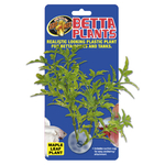BP-24_Betta_Plants_Maple_Leaf