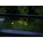 Welkin-Pond-Light-night-1-lbox-800x600-F9F9F9
