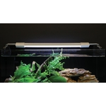 aquatlantis-easy-led-2-0-freshwater-aquarium-min