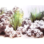 poster-de-fond-pour-aquarium-wonder-face-roches-plantes-et-fond-blanc-décoration