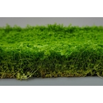 tapis-plante-epaqmat-xxl-micranthemum-monte-carlo-dimension-du-tapis-60-x-40-cm-2