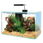 zolux-aqua-clear-40-noir-aquarium-17-l-avec-eclairage-leds-et-filtre-interne