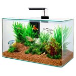 zolux-aqua-clear-50-noir-aquarium-32-l-avec-eclairage-leds-et-filtre-interne
