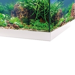 eheim-aquastar-54-led-blanc-aquarium-equipe-60-cm-54l-disponible-avec-ou-sans-meuble-3