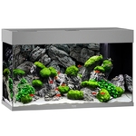 aquarium-juwel-rio-125-gris-sans