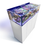 aqua-medic-armatus-lagoon-400-kit-aquarium-marin-150-cm-355-l-avec-meuble-et-systeme-a-decantation-1-min