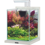 zolux-jalaya-2-ceruse-blanc-10-l-kit-nano-aquarium-equipe-avec-eclairage-leds