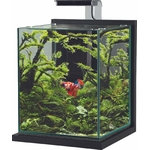 zolux-jalaya-xl-gris-anthracite-18-7-l-kit-nano-aquarium-equipe-avec-eclairage-leds-min