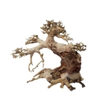 aquavie-bonsai-natur-xs