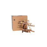 aquavie-bonsai-natur-xs