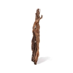 aquavie-curlivigne-branch-ml