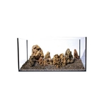 kit-aquanatur-stone-canyon-60-90l-50-90cm
