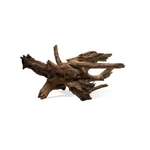racine-sinknatur-s-10-25cm