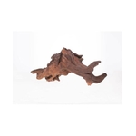 racine-sinknatur-l-50-70cm