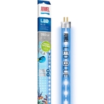 juwel-blue-led-590-mm-tube-t5-11w-eau-de-mer-bleu-actinique-pour-rio-125-led-lido-200-led-trigon-190-led