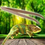 reptizoo-pince-en-bois-de-bambou-28-cm-pour-nourrissage-et-autres-usages-7