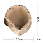 reptizoo-water-dishies-m-20-5-x-16-5-x-5-cm-abreuvoir-pour-reptile-2