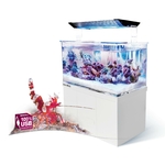 aqua-medic-armatus-xs-micro-aquarium-de-4l-tout-en-un-avec-filtration-integre-dans-le-meuble